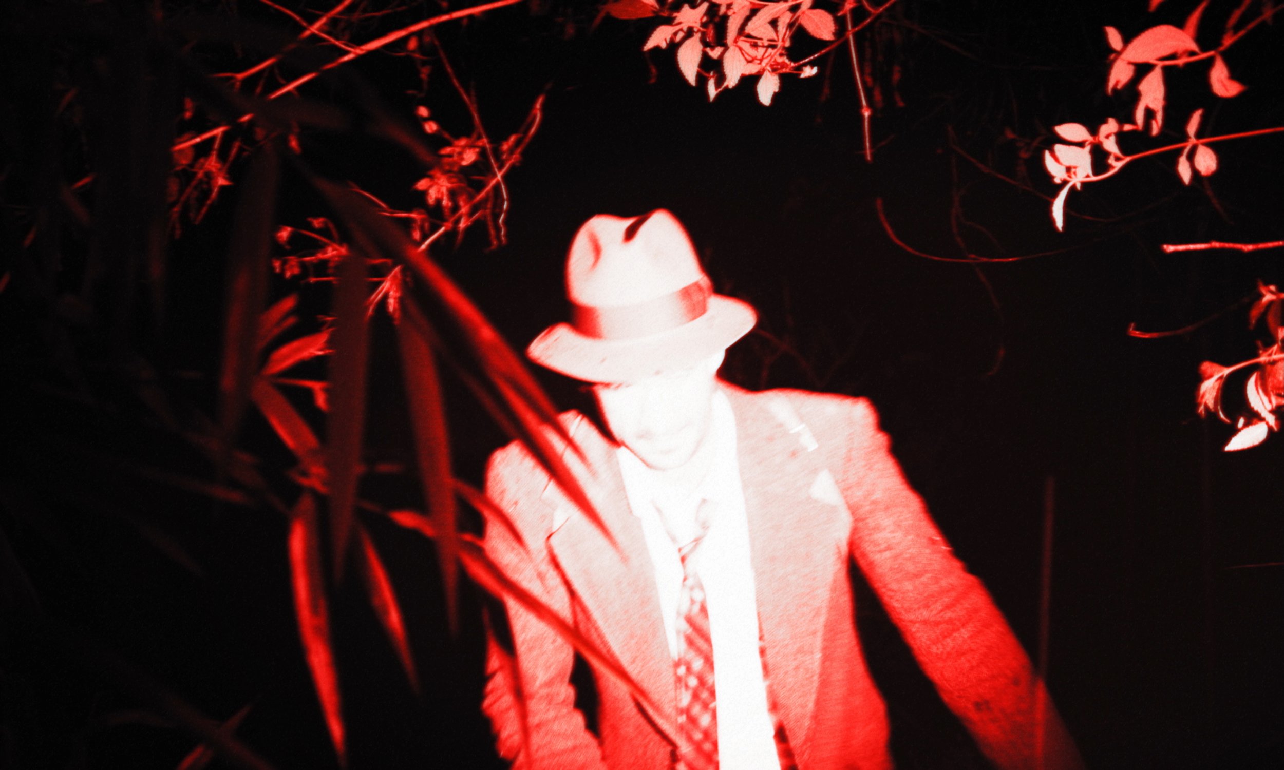 sereno still 3
