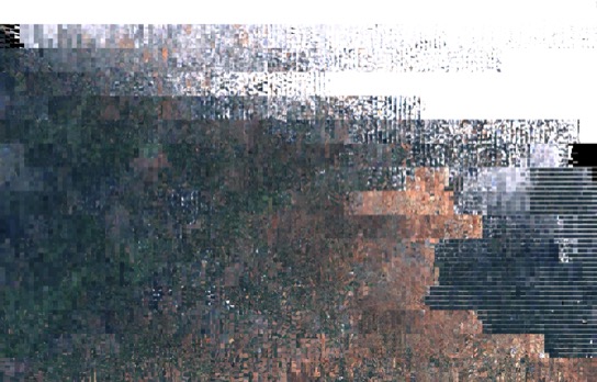 t-SNE visualization grid